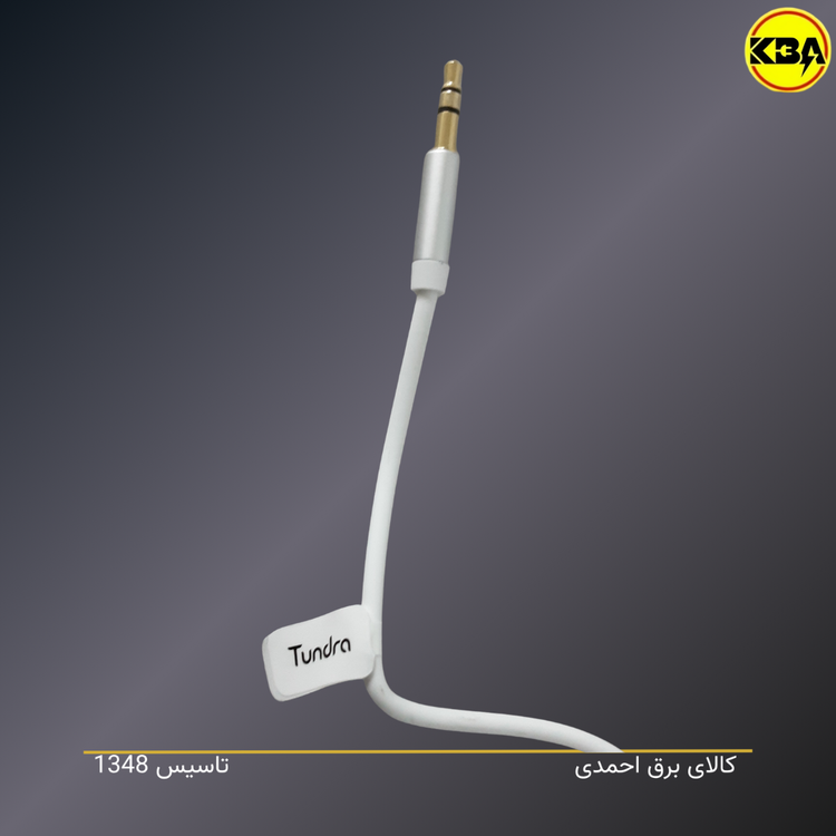 کابل AUX تاندرا مدل T10AUX150 - خرید از فروشگاه کالای برق کالای برق احمدی